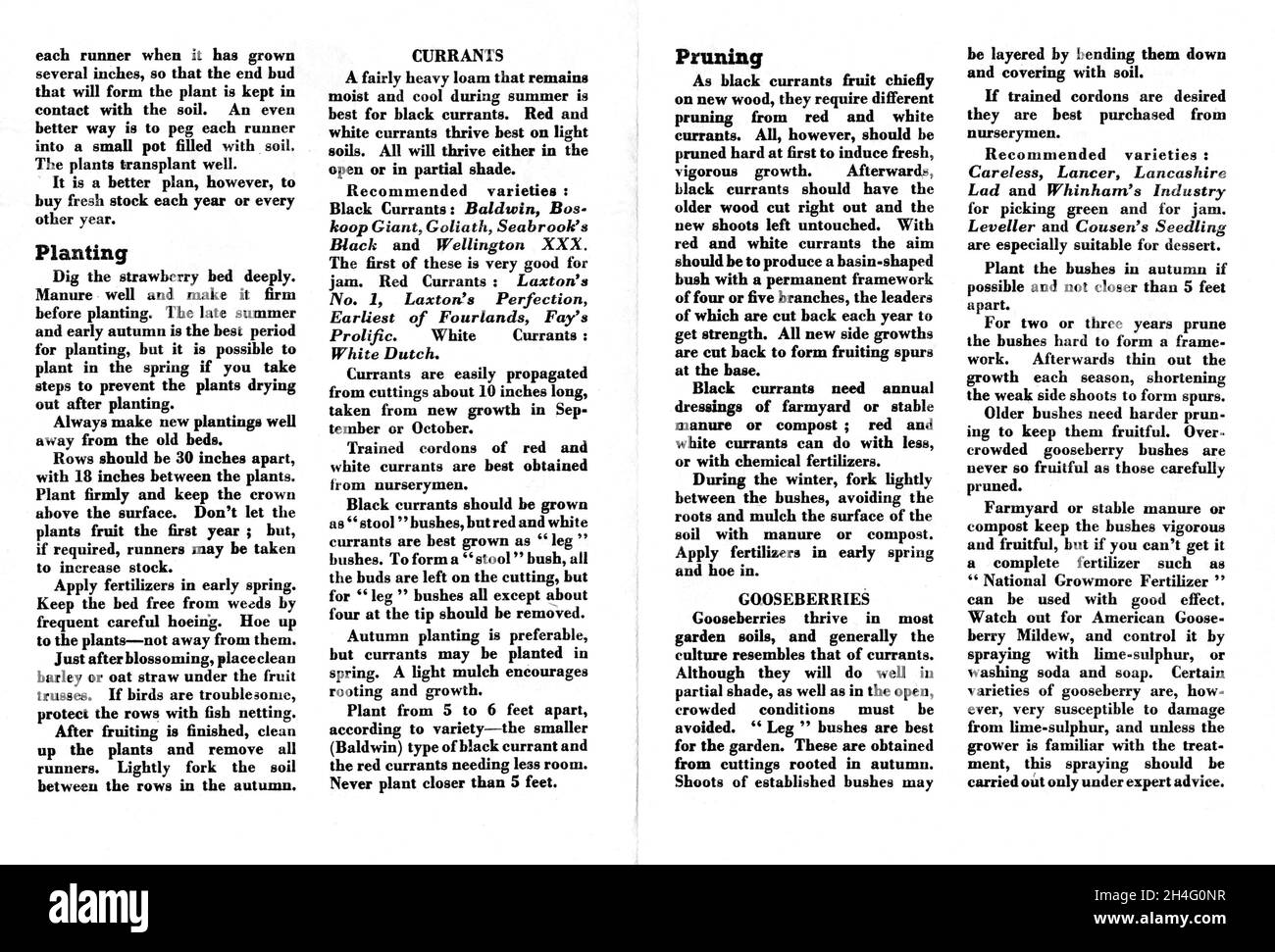 Eine Broschüre zum „Dig for Victory“ aus dem Weltkrieg 2, in der Eigenprodukte und der Anbau von Früchten gefördert werden. Siehe meine anderen Bilder für die andere Seite dieser Broschüre & 2 andere Dig for Victory Broschüren Stockfoto