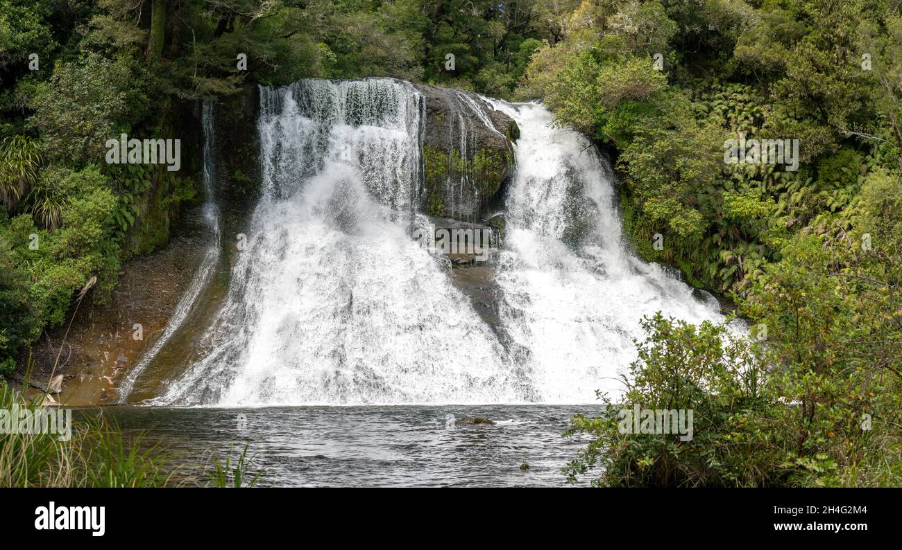 Aniwaniwa Falls Gewässer des Aniwaniwa River, Te Urewera National Park, Hawke's Bay, Northland, Neuseeland Stockfoto