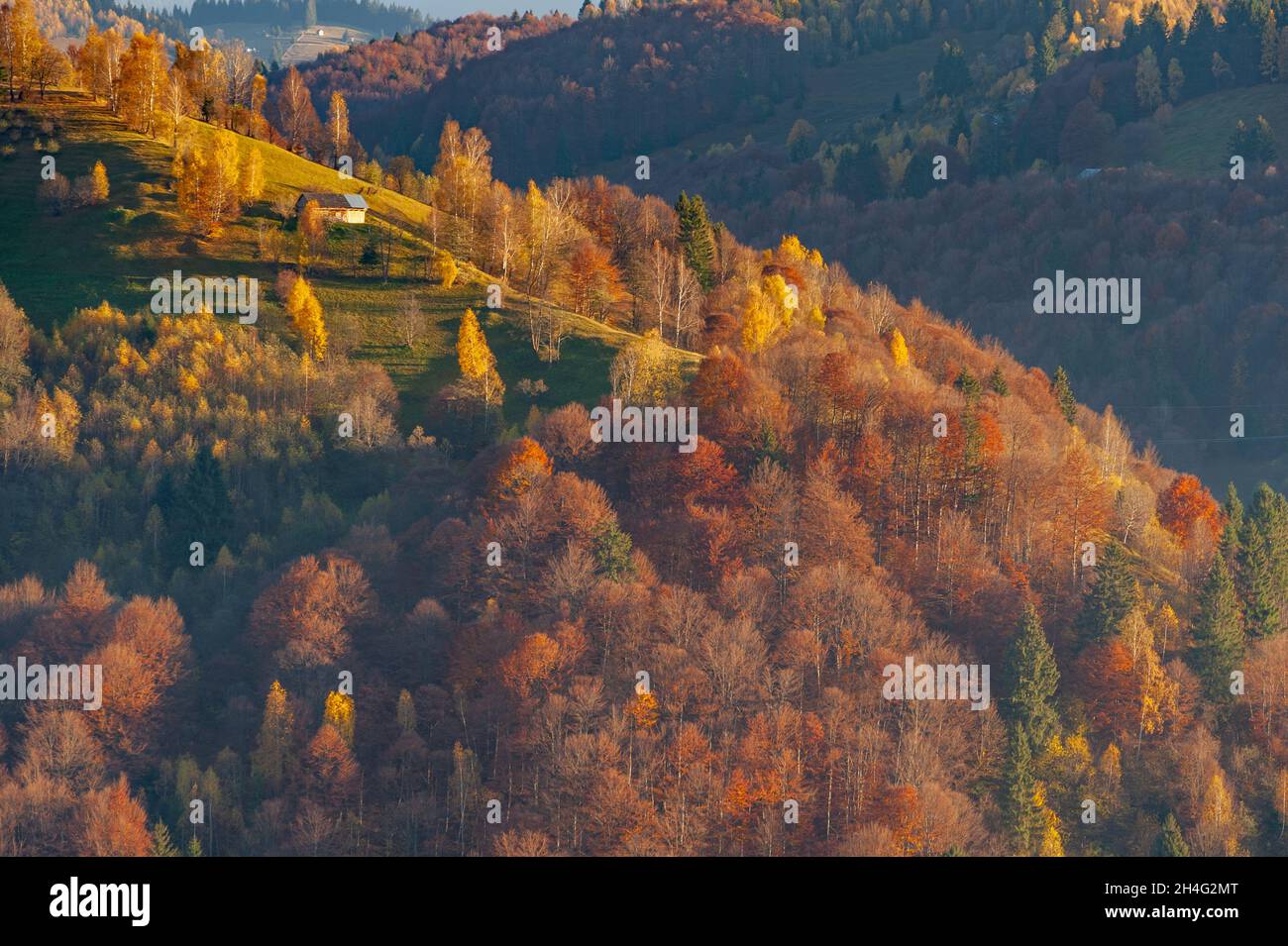 Herbstlandschaften vom rucar-bran Pass, rumänien Stockfoto