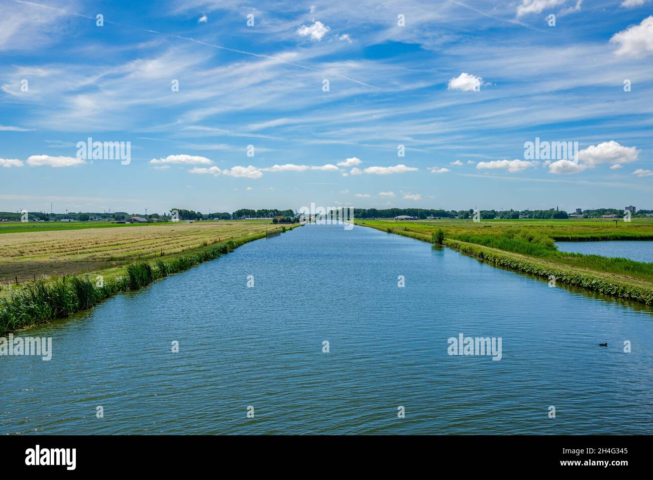 Polderkanallandschaft in der Nähe von Rotterdam, Niederlande Stockfoto