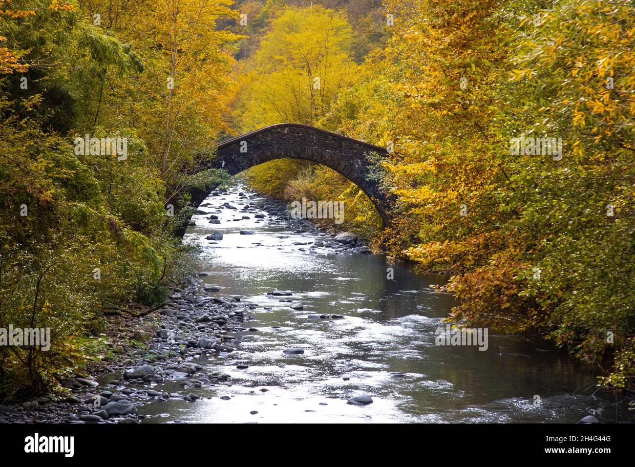 Kleine alte Steinbrücke in der Toskana von Italien im Herbst Stockfoto
