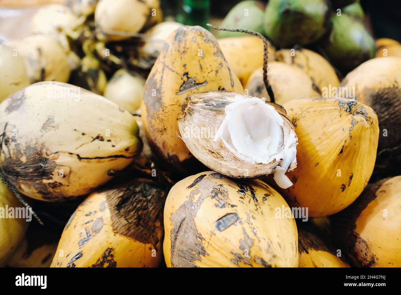 Gelbe Kokosnüsse werden auf dem Markt der Insel Mauritius verkauft. Schneiden Sie eine junge Kokosnuss mit Makoto. Viele Kokosnüsse auf dem Markt. Stockfoto