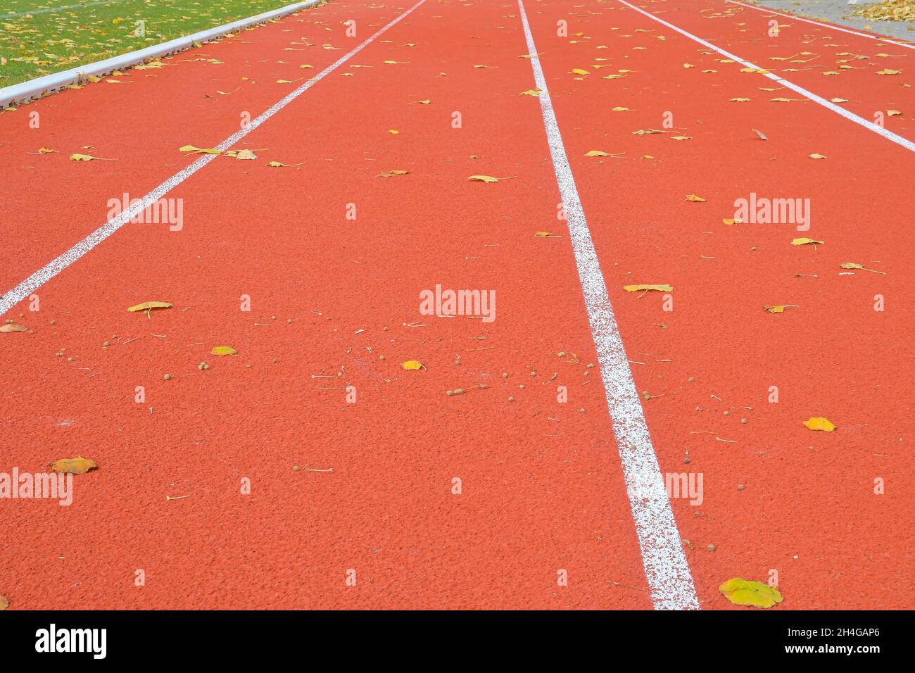 Rote Laufstrecke im Stadion im Herbst. Verlassene LeichtathletikStrecke im Herbst. Konzept der Rote Laufstrecke im Stadion im Herbst. Verlassene LeichtathletikStrecke im Herbst. Konzept der