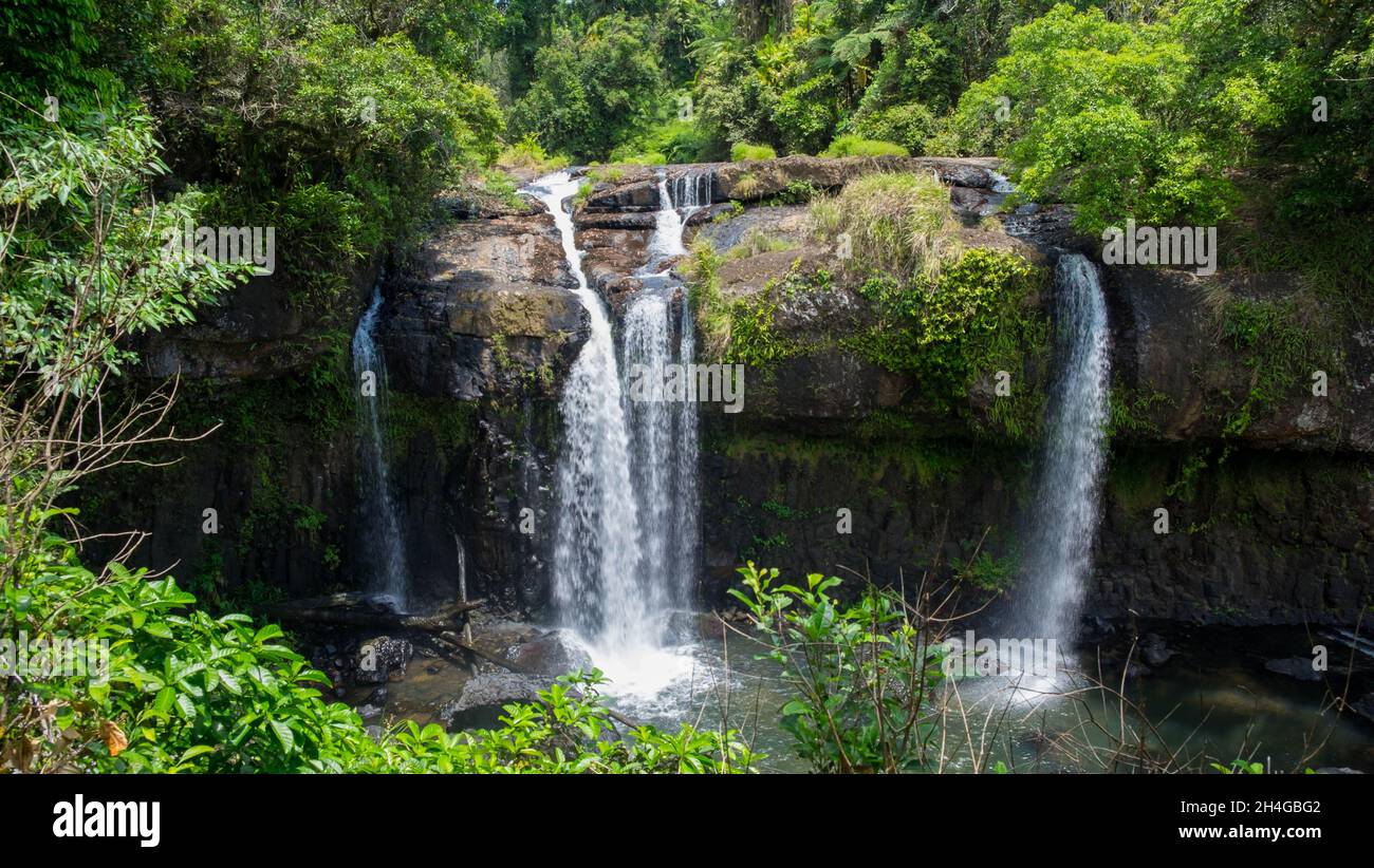 WAlllicher Falls, Wooroonooran National Park, Queensland, Australien Stockfoto