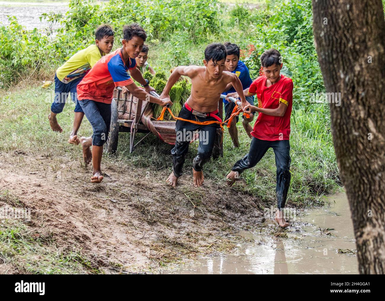 An Giang 21. September 2019. Kinder spielen auf dem traditionellen kambodschanischen Feldfestival Reisfeld Stockfoto