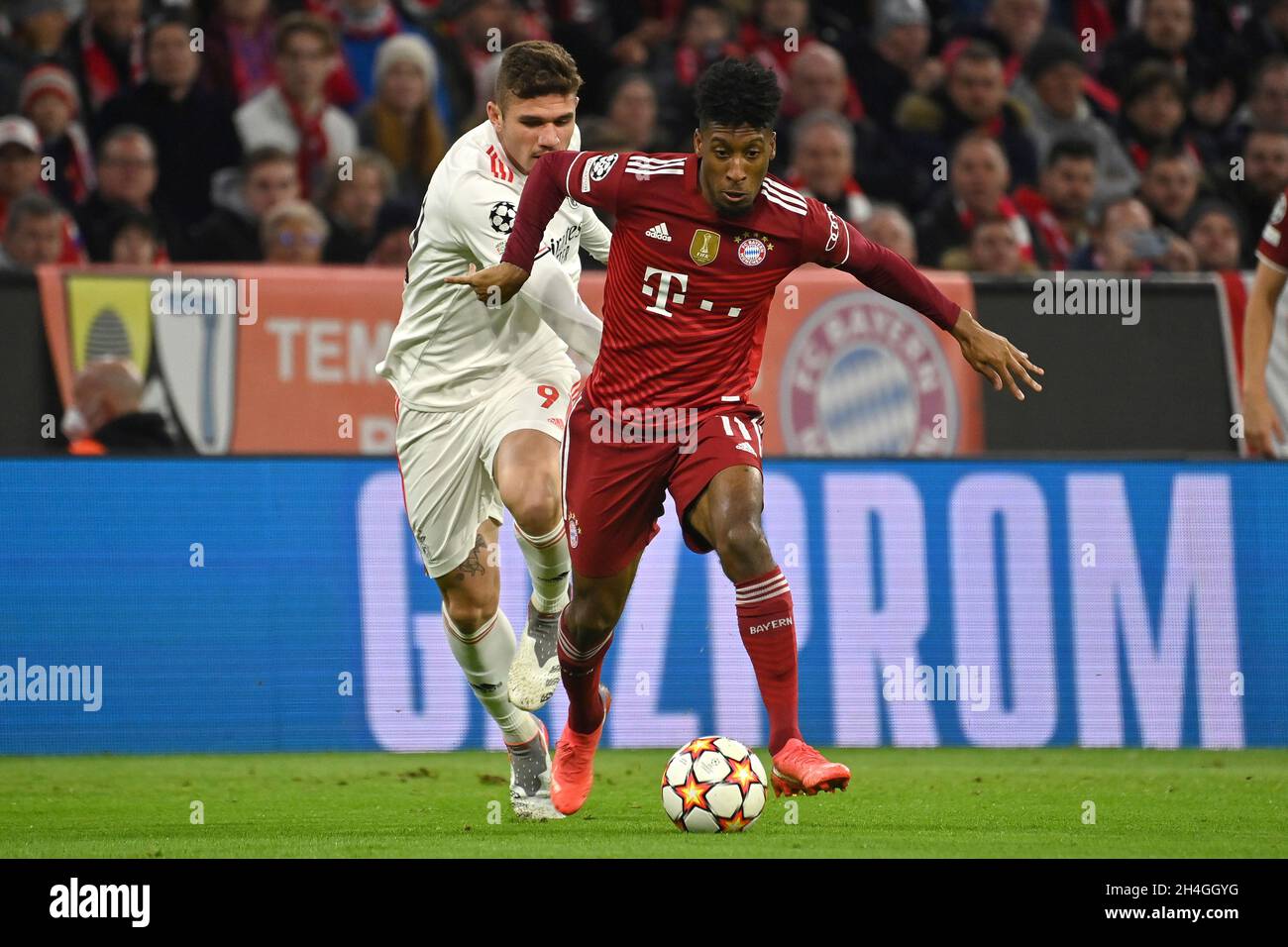 München, Deutschland. November 2021. Kingsley COMAN (FC Bayern München), Action, Duelle gegen MORATO (Lissabon) Fußball Champions League Gruppe E/FC Bayern München - SL Benfica Lisbon 5-2, ALLIANZARENA München am 2. November 2021 Quelle: dpa/Alamy Live News Stockfoto