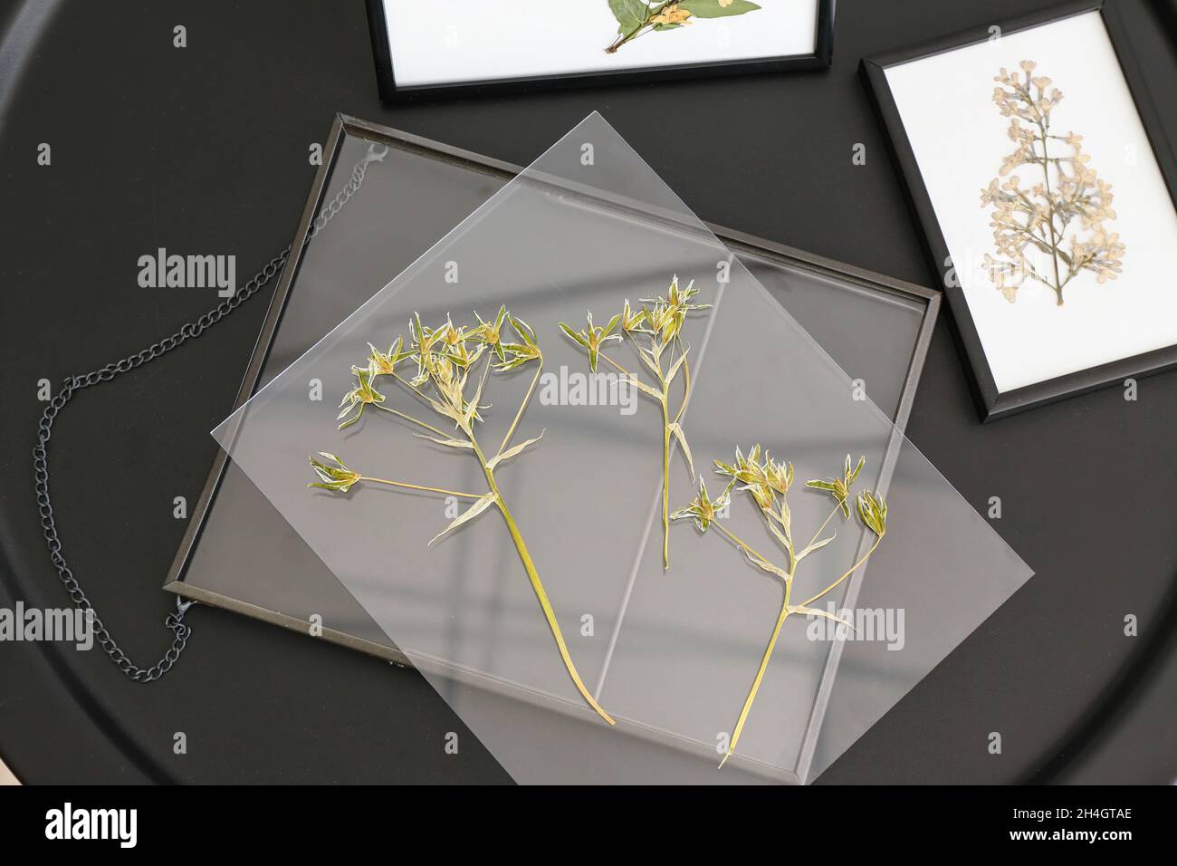 Rahmen mit getrockneten gepressten Blumen auf dem Tisch Stockfoto