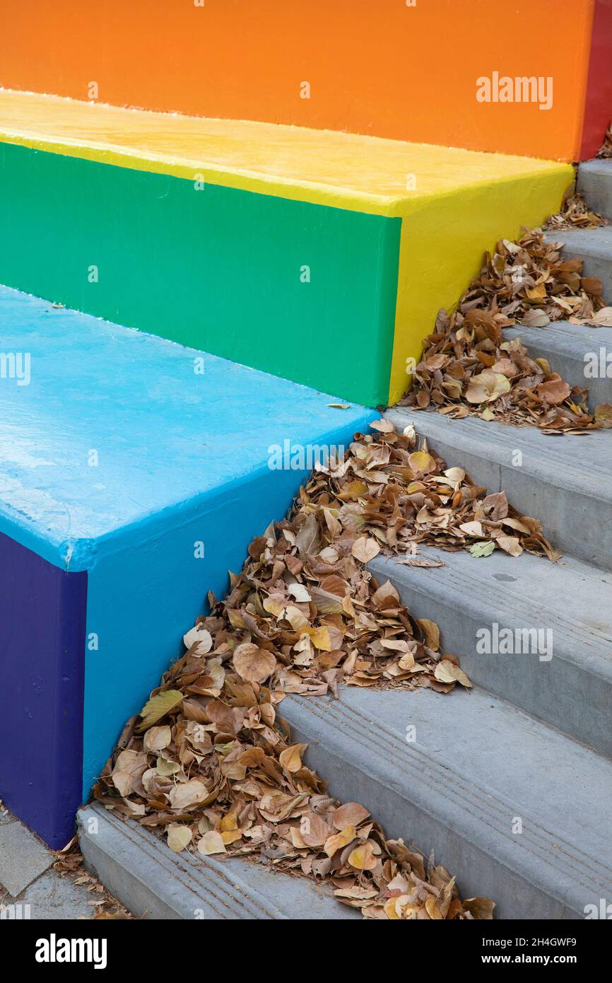 Im Herbst sind auf dem Campus der University of Calgary, Alberta, Kanada, Treppen in Regenbogenfarben mit gefallenen Blättern bemalt Stockfoto