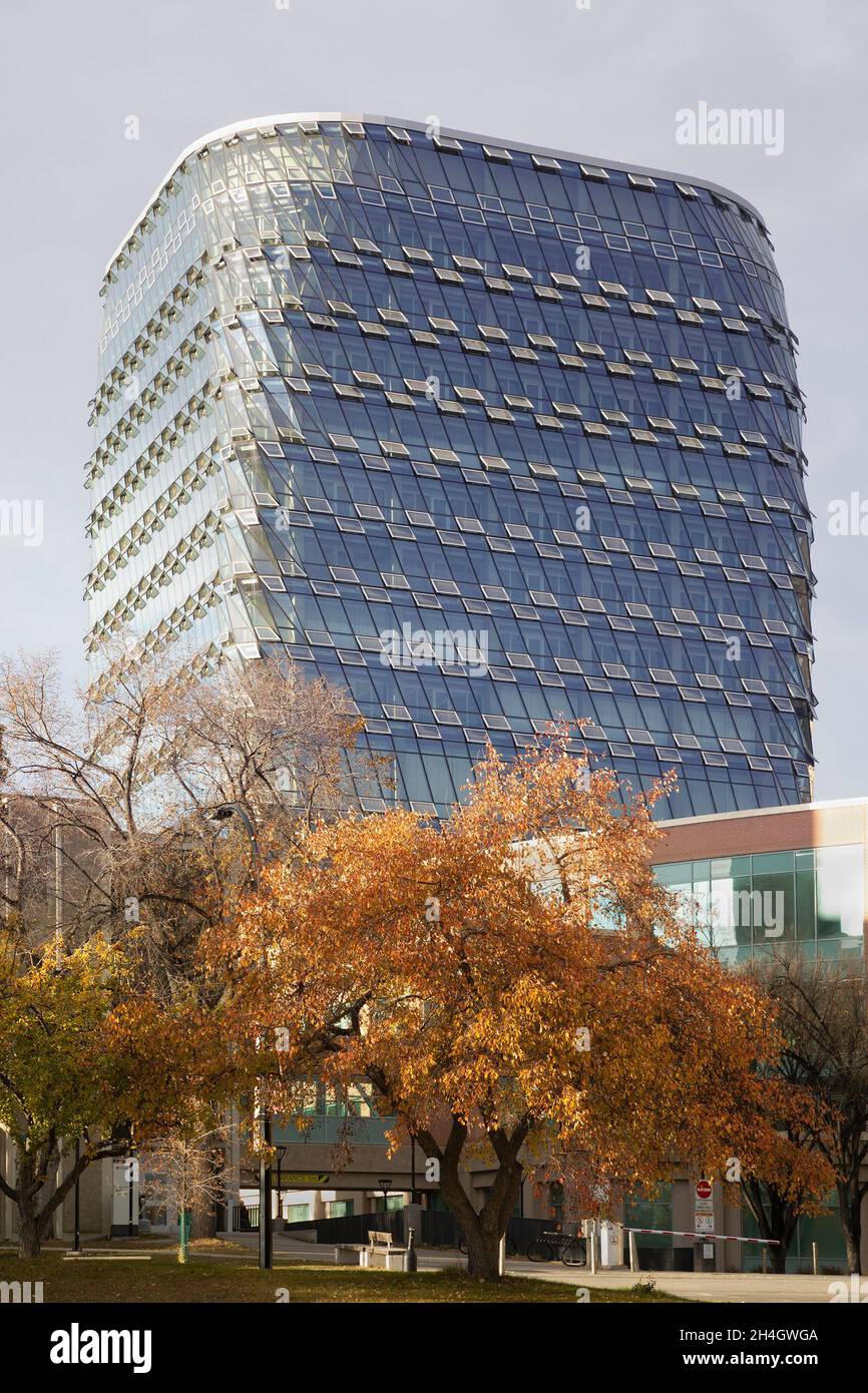 MacKimmie Tower, das erste CO2-freie Gebäude auf dem Campus der University of Calgary in Kanada. Die energieeffiziente Struktur hat eine Glasfassade. Stockfoto