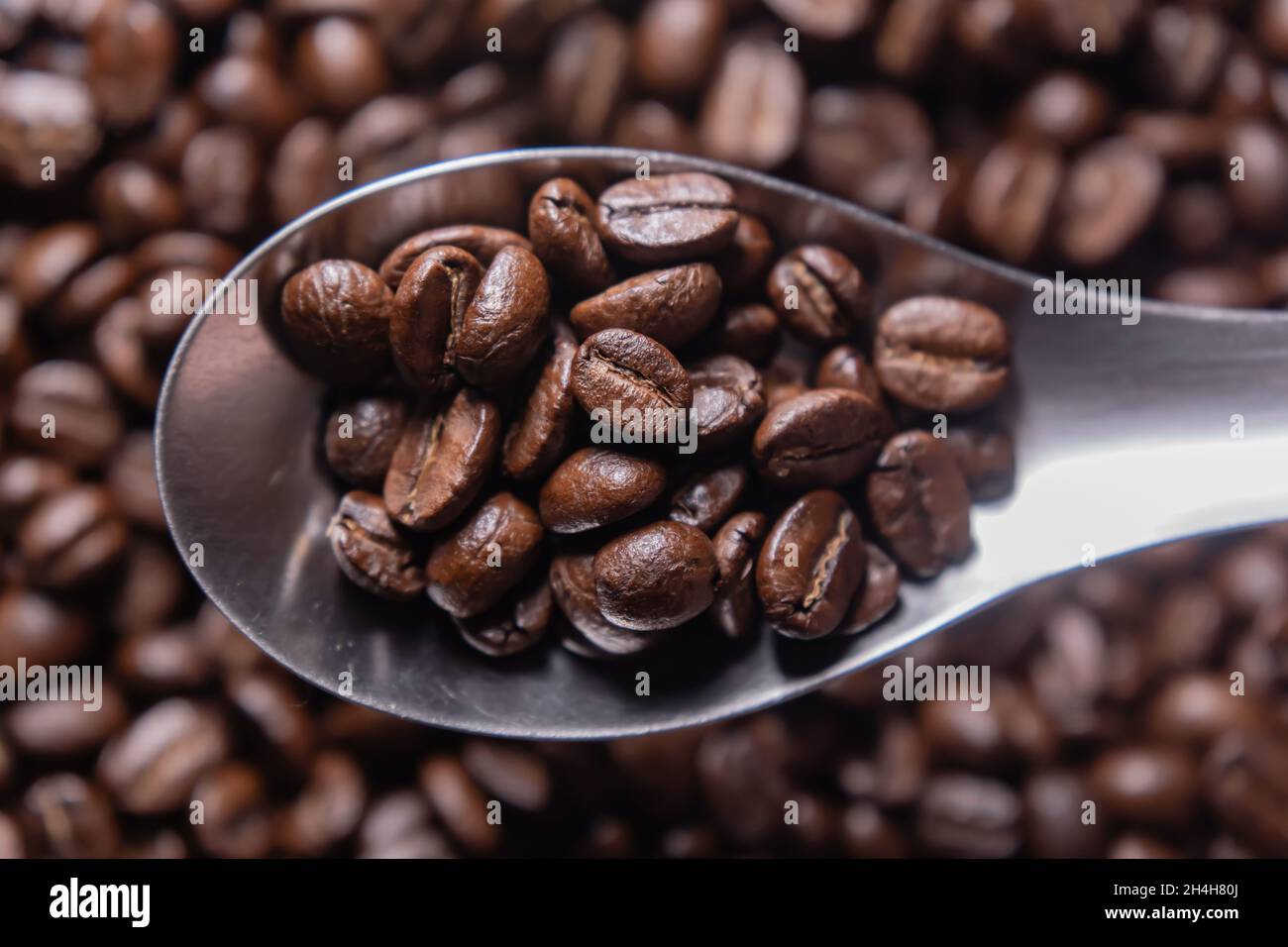 Dunkel geröstete Arabica-Kaffeebohnen in einem Edelstahllöffel. Stockfoto