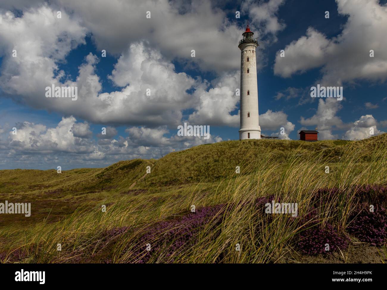 Leuchtturm Lyngvig, Hvide Sande, Jütland, Daenmark Stockfoto