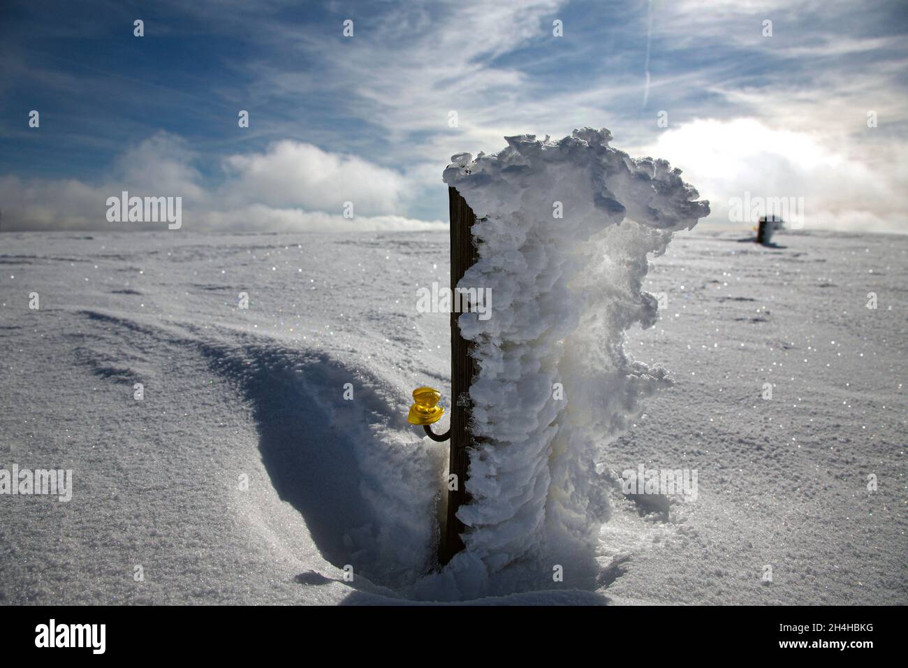 Schneeskulptur auf einem eingeschneiten Weidezaunposten auf dem Feldberg im Schwarzwald Stockfoto
