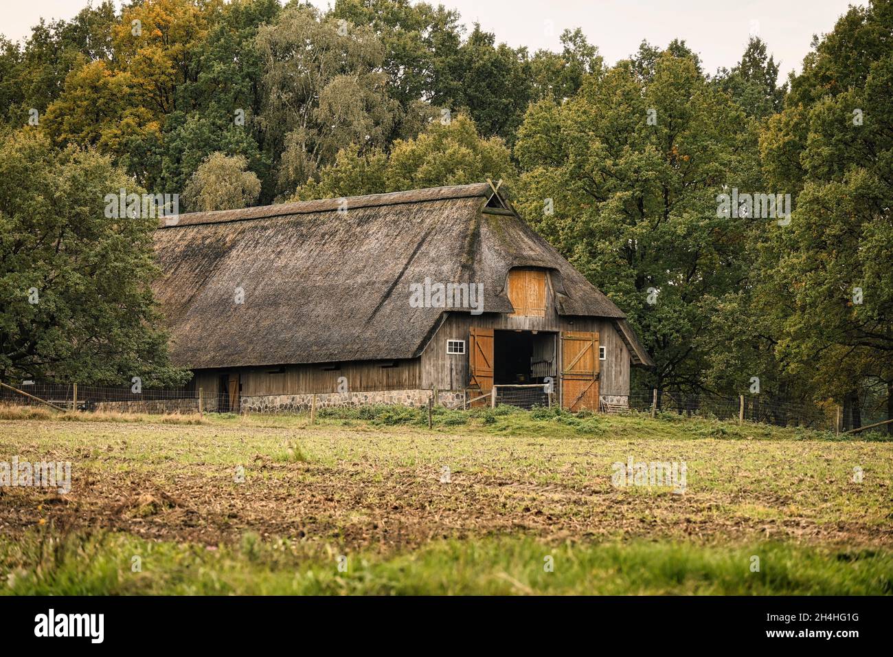 Altes reetgedeckte Gehöft. Romantische Landschaft des Naturparks Lüneburger Heide, Lüneburger Heide, Norddeutschland. Stockfoto