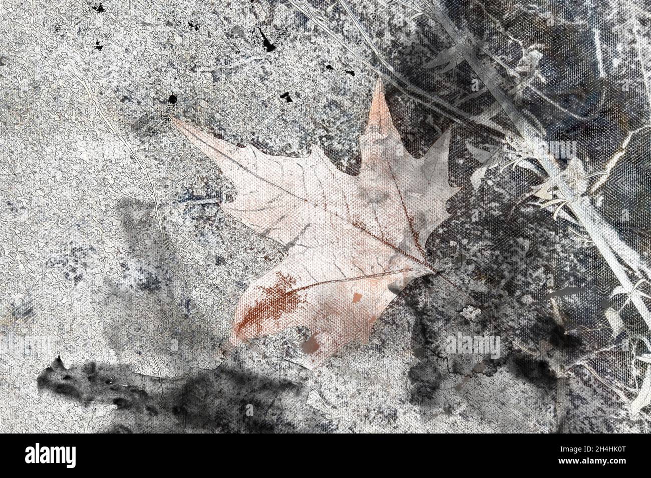 Orange gefallenes Blatt auf schwarzer und grauer Erde. Ein Platanenblatt auf einer frostbedeckten Oberfläche. Herbstnachtfröste. Digitale Aquarellmalerei Stockfoto
