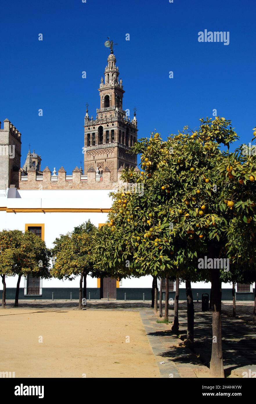 Kathedrale Santa Maria de la Sede (Kathedrale Santa Maria de la Sede) und Turm La Giralda von der Plaza Patio de Banderas aus gesehen, Sevilla, Sevilla bietet Stockfoto