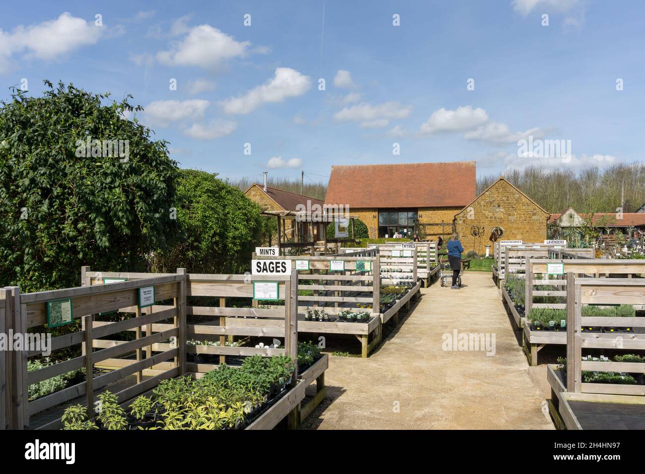 Das National Herb Centre, ein Herbarium und Gartencenter, Warmington, Warwickshire, Großbritannien Stockfoto
