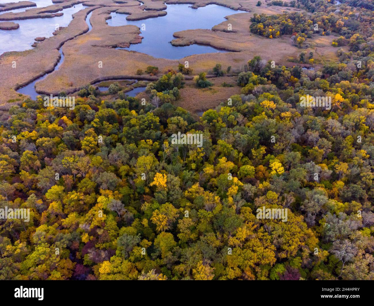 Farbenfroher Herbstwald und Fluss. Luftaufnahme von der Drohne. Stockfoto