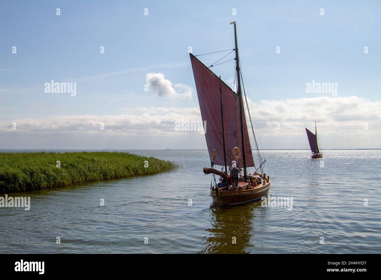 Historisches Segelboot mit braunem Segel und einem zweiten Segelboot im Hintergrund verlässt das Ufer und fährt am Schilf vorbei ins offene Binnenmeer. Stockfoto