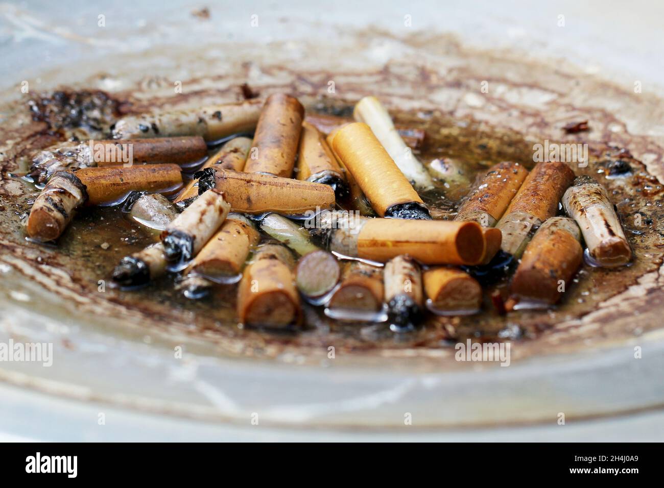 Viele Zigarettenstummel in einem grauen Standaschenbecher, draußen stehend, in den es hinein gegnet hat. Stockfoto