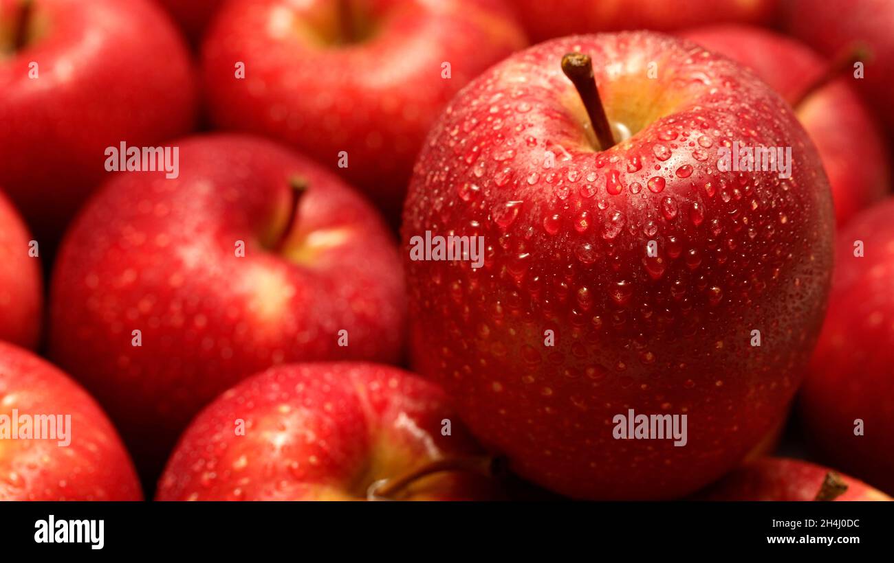 Rote Äpfel mit Tröpfchen Stockfoto