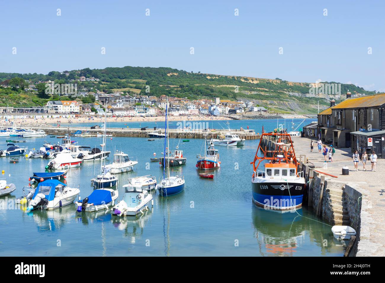 Fischerboote und Yachten im Hafen der Jurassic Coast mit dem Wellenbrecher der Cobb Harbour Wall bei Lyme Regis Dorset England GB Europa Stockfoto