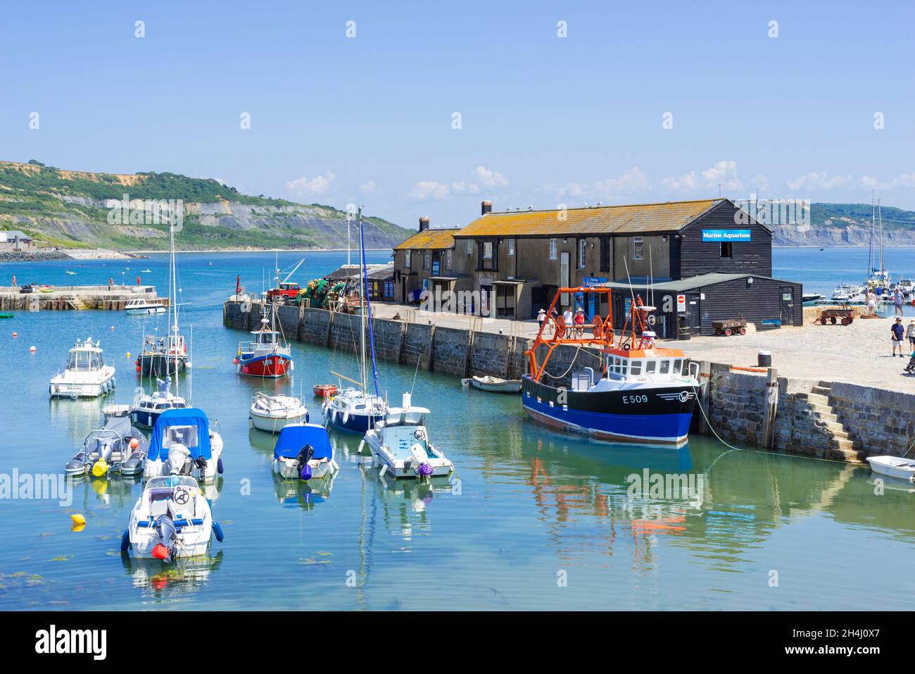 Fischerboote und Yachten im Hafen der Jurassic Coast mit dem Wellenbrecher der Cobb Harbour Wall bei Lyme Regis Dorset England GB Europa Stockfoto