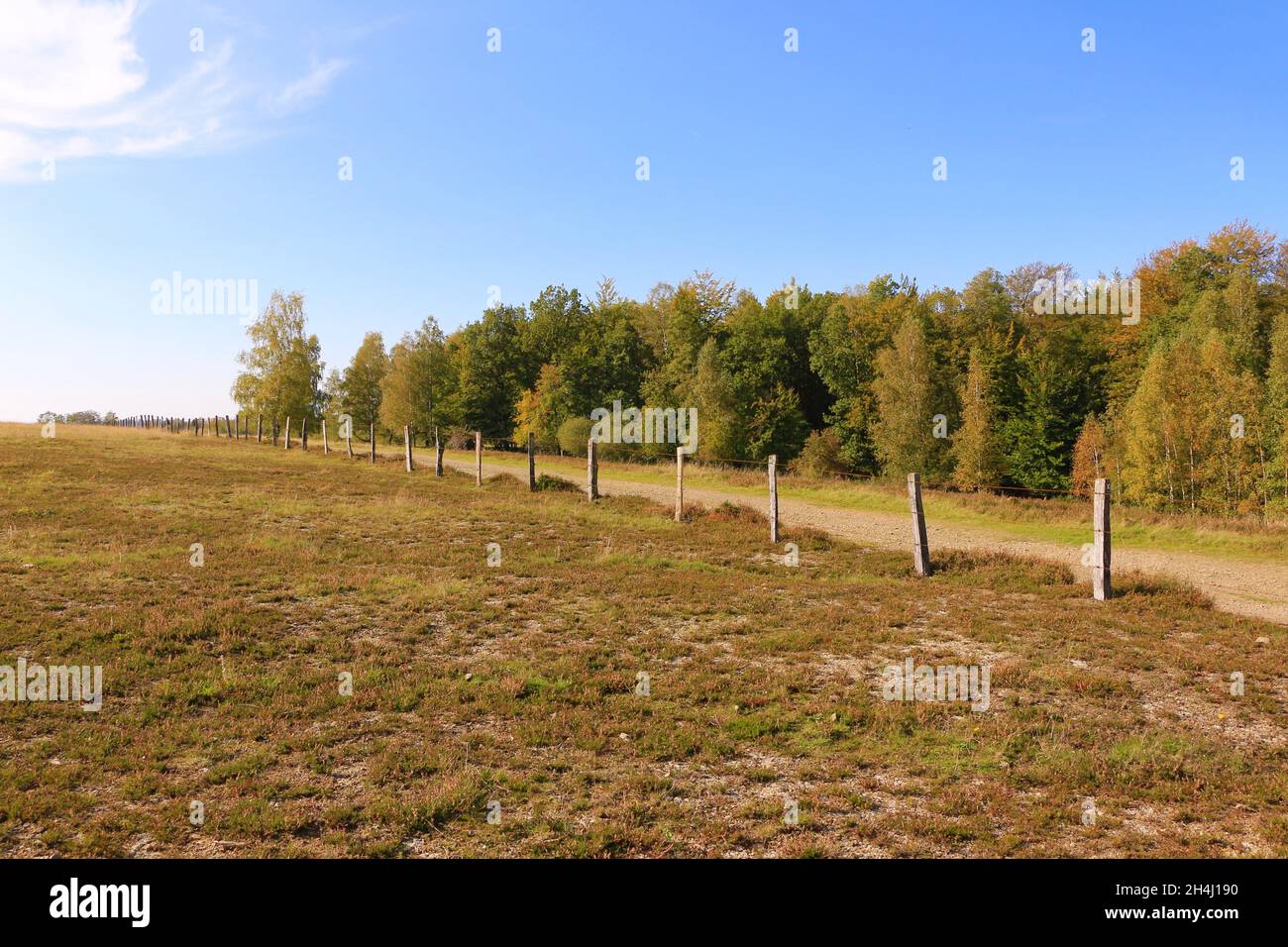 Impressionen von dem Wanderweg 'Ochsentour' in Lüdenscheid im Märkischen Kreis Stockfoto