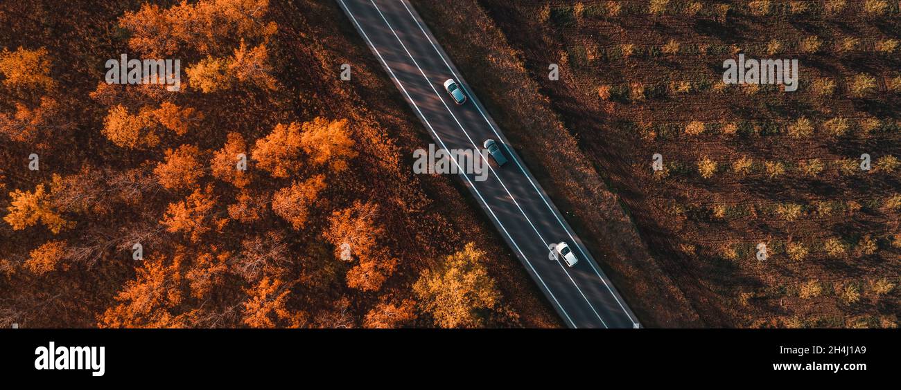 Luftaufnahme von drei Autos auf der Straße durch Laubwald im Herbst, oben Drohne pov der Fahrzeuge fahren die Straße hinunter Stockfoto