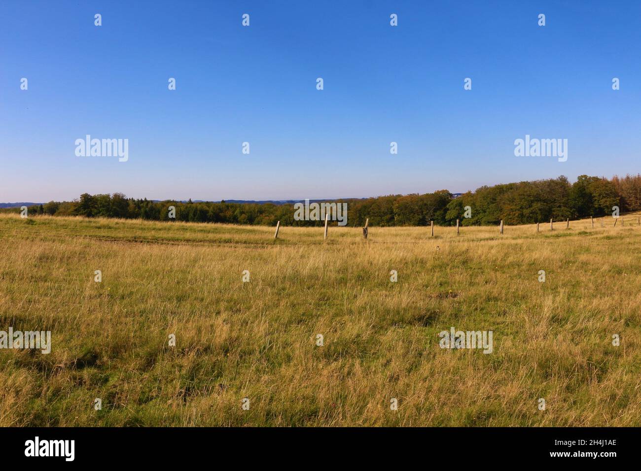 Impressionen von dem Wanderweg 'Ochsentour' in Lüdenscheid im Märkischen Kreis Stockfoto