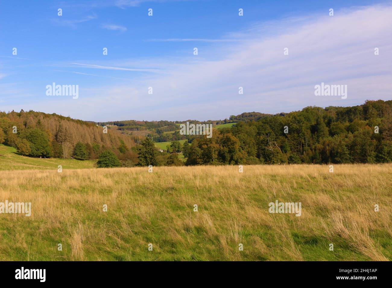 Impressionen von dem Wanderweg 'Ochsentour' in Lüdenscheid im Märkischen Kreis Stockfoto
