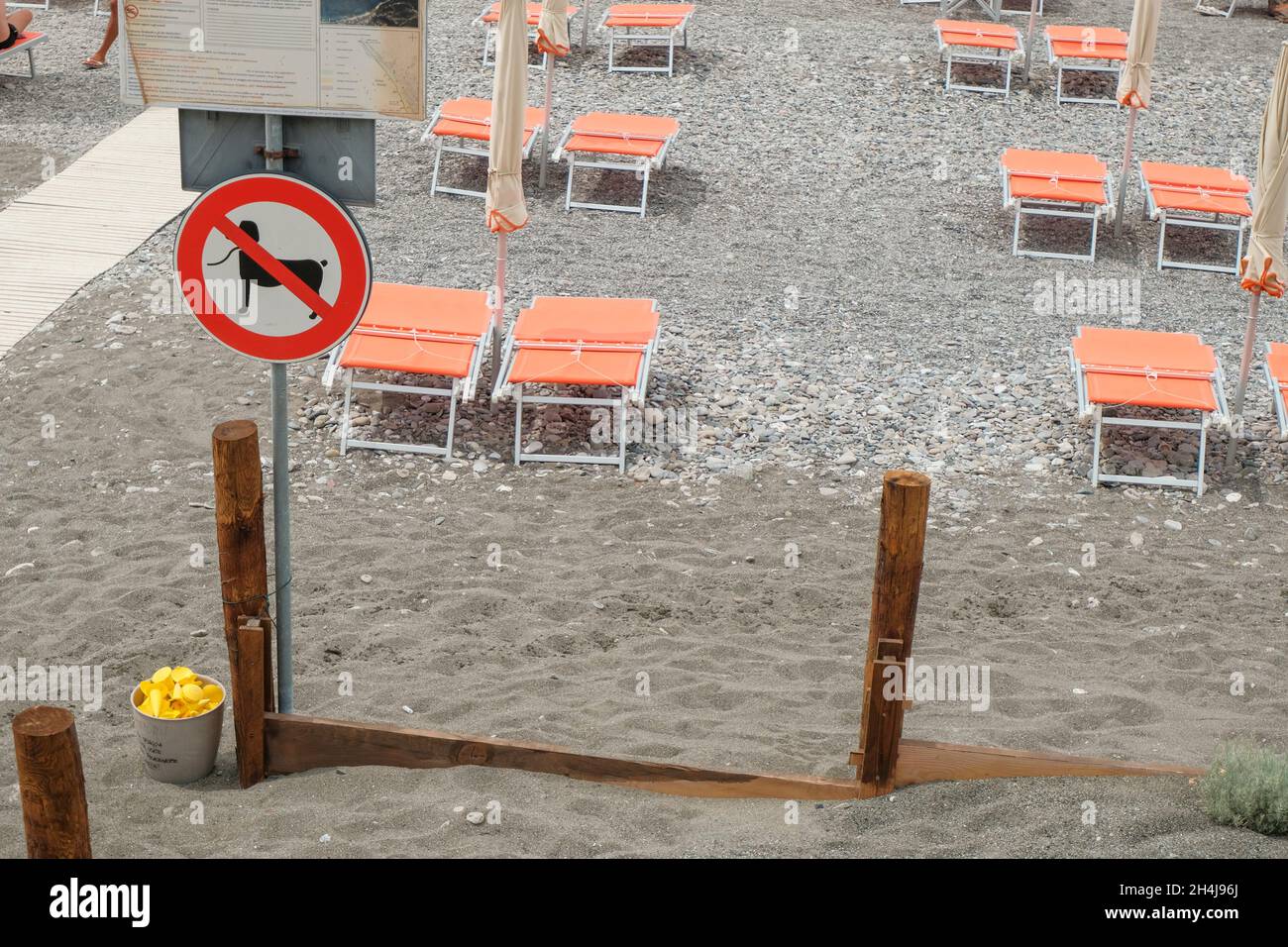 Keine Hunde am Strand über orangefarbene Sonnenliegen. Sommerurlaub mit Haustieren. Tierverbot Stockfoto