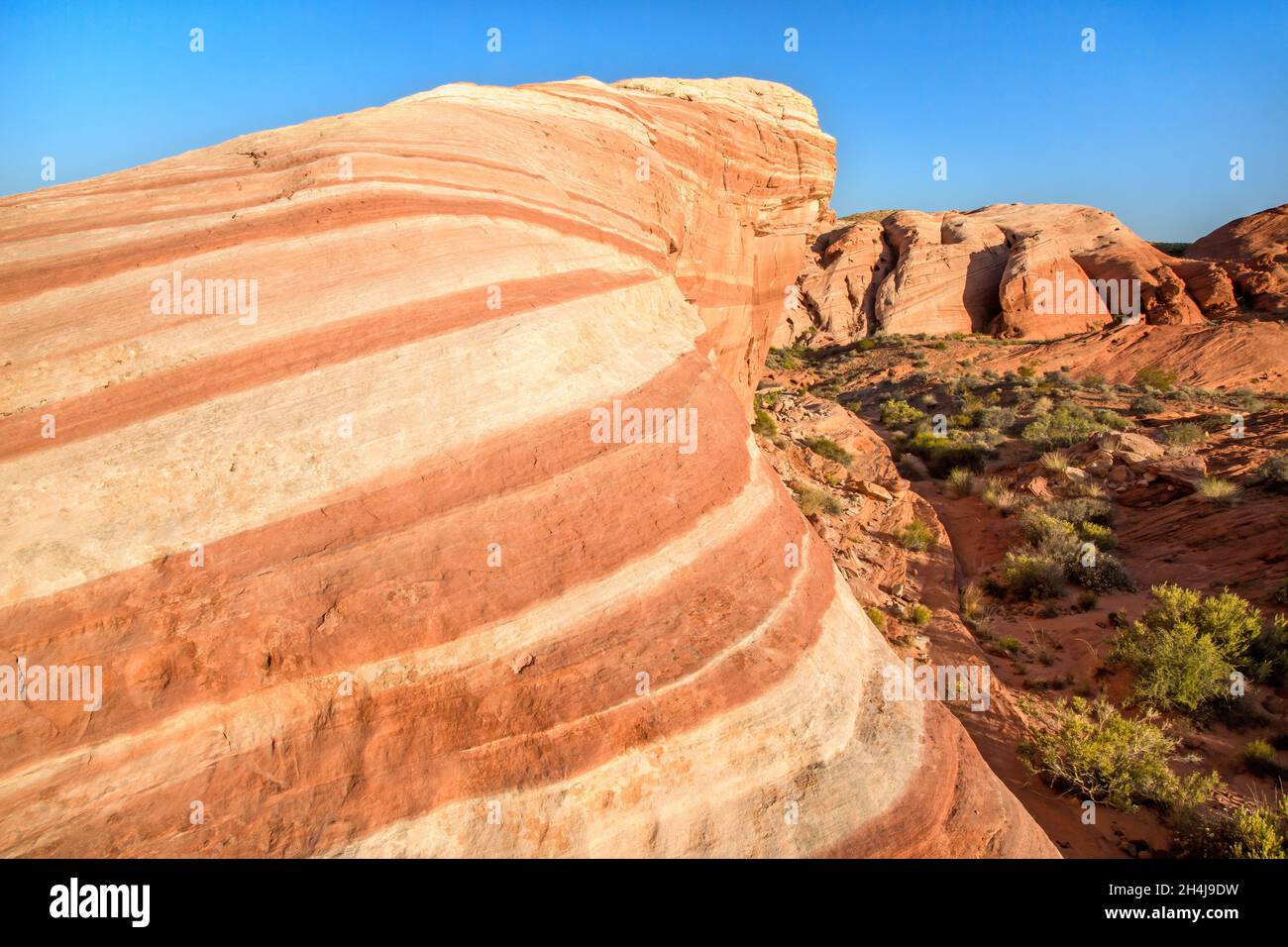 Wellenfelsen im Valley of Fire State Park, Nevada, USA. Horizontale Komposition mit blauem Himmel Hintergrund. Stockfoto