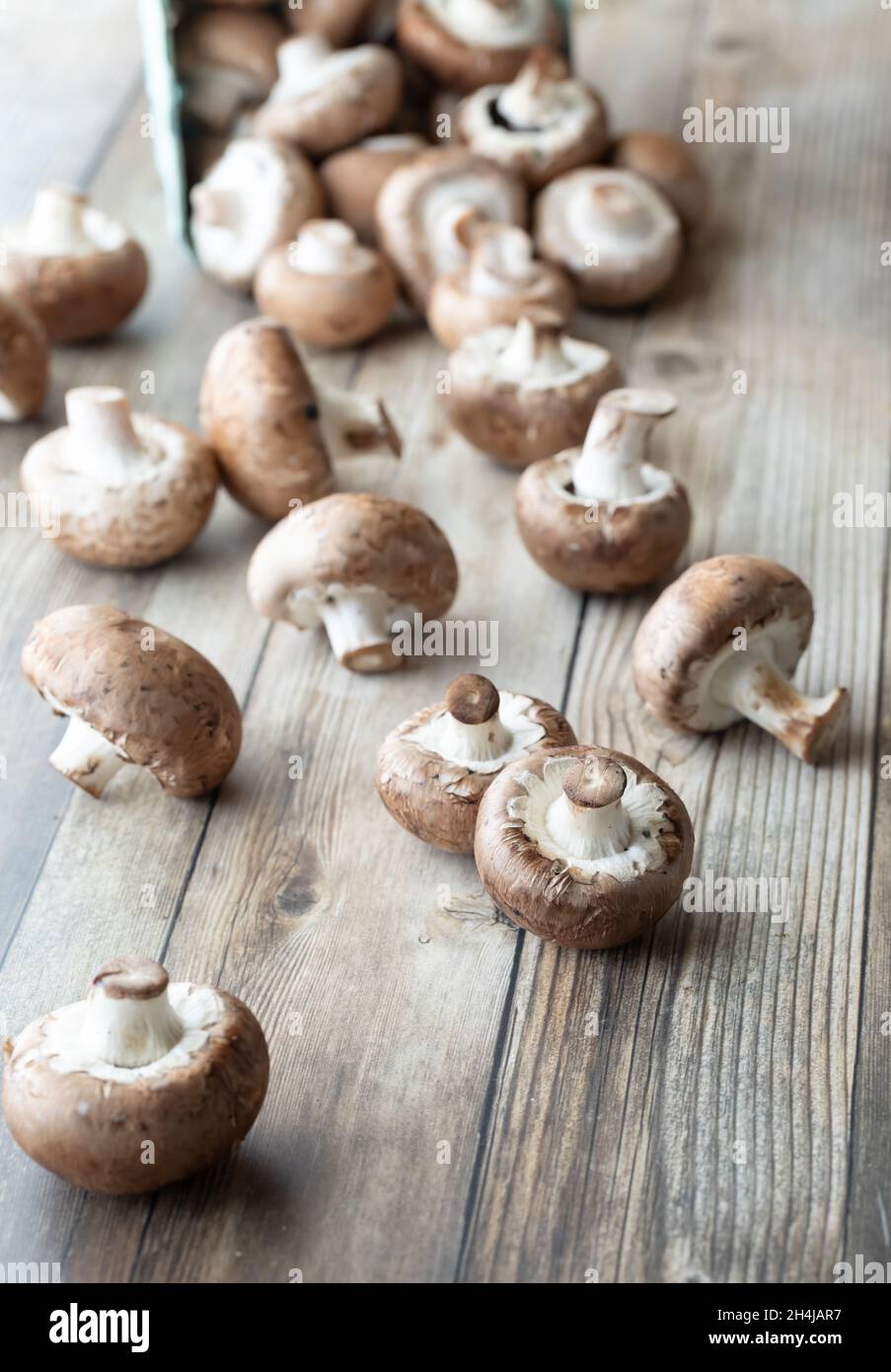 Frische Cremini-Pilze, die aus einem Karton auf einen Holztisch auslaufen. Stockfoto