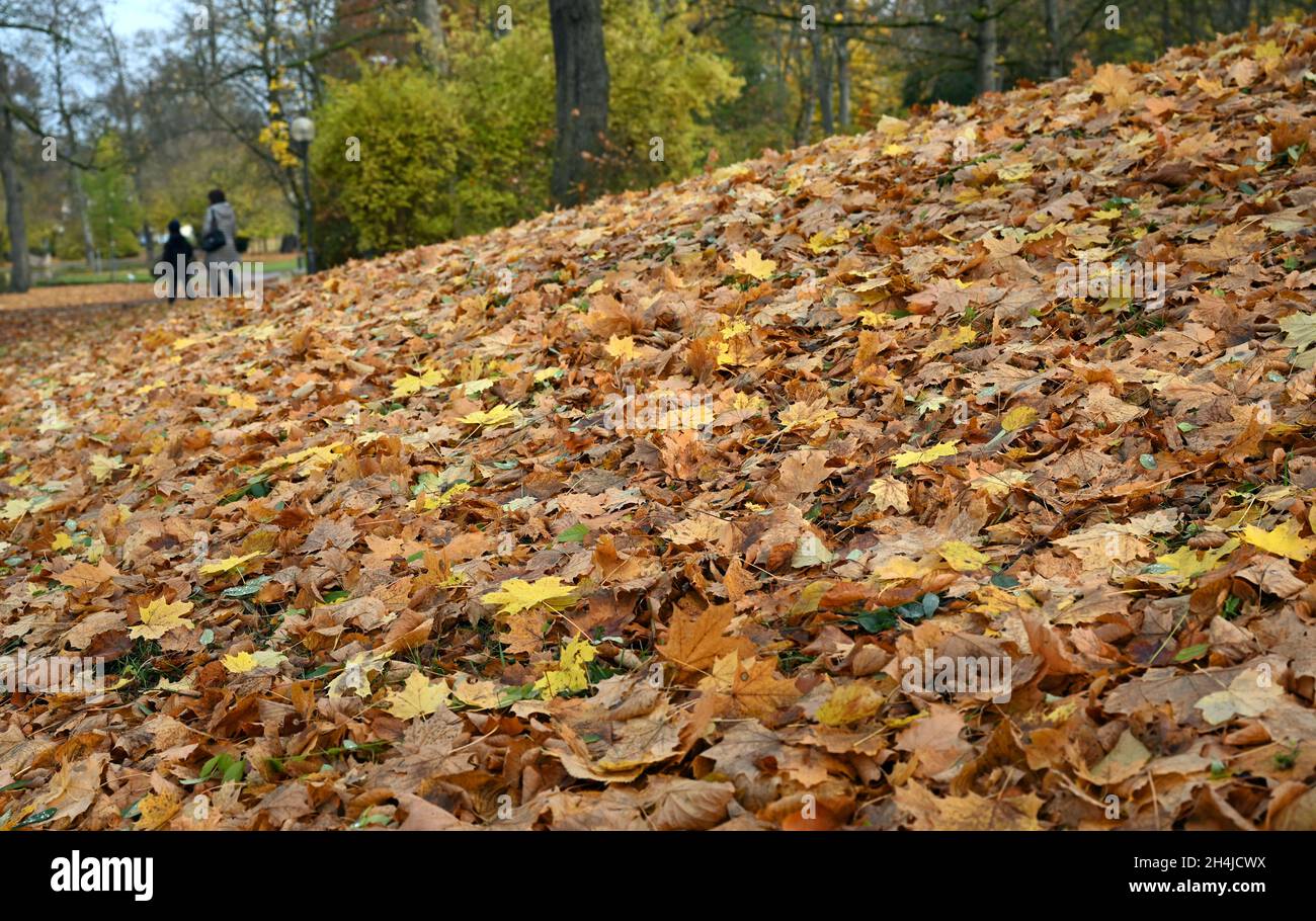 Meiningen, Deutschland. November 2021. Bunte Herbstblätter liegen im Englischen Garten. Der weitläufige Park wurde im 18. Jahrhundert auf Betreiben von Herzog Georg I. von Sachsen-Meiningen angelegt. Quelle: Martin Schutt/dpa-Zentralbild/dpa/Alamy Live News Stockfoto