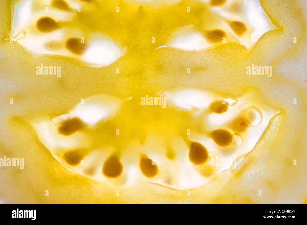 Gelbe Tomatenscheibe: breiige Kern einer natürlichen Frucht Fruchtfleisch und Samen Details enthüllt. Stockfoto