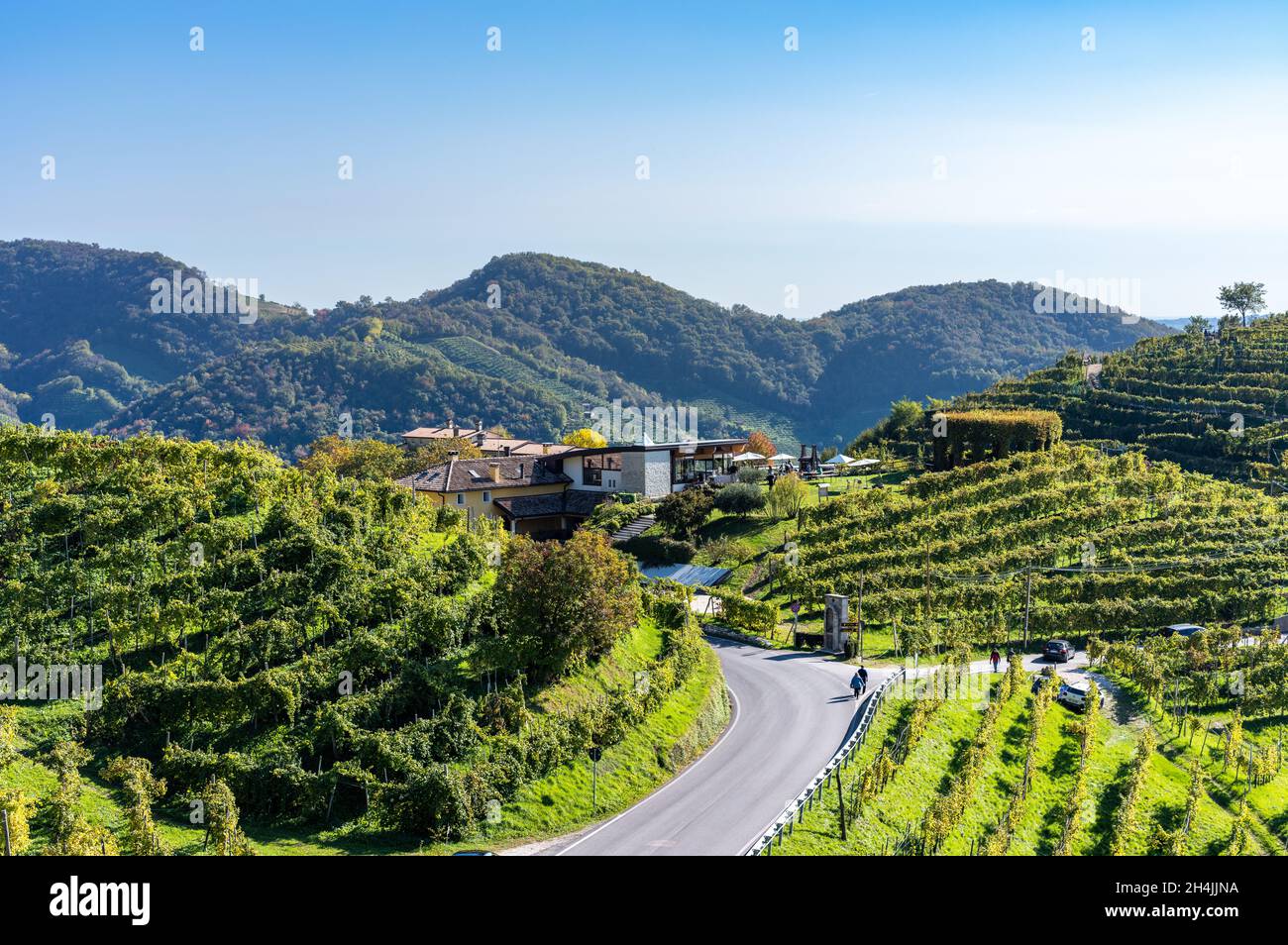 Valdobbiadene, Hügel und Weinberge entlang der Prosecco-Straße. Italien Stockfoto