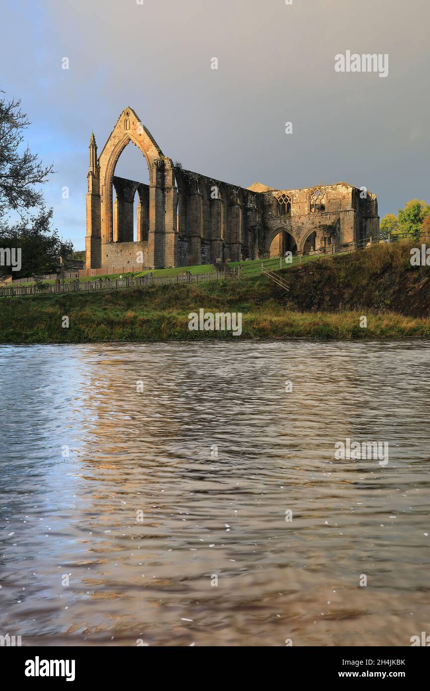 Die Ruinen der Bolton Abbey, in Wharfedale, Yorkshire Dales, Großbritannien Stockfoto