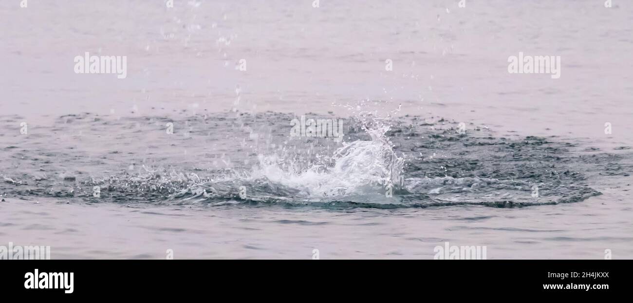 Großes Wasserplätschern und die Wellen im Meer, Meeresschaum Stockfoto