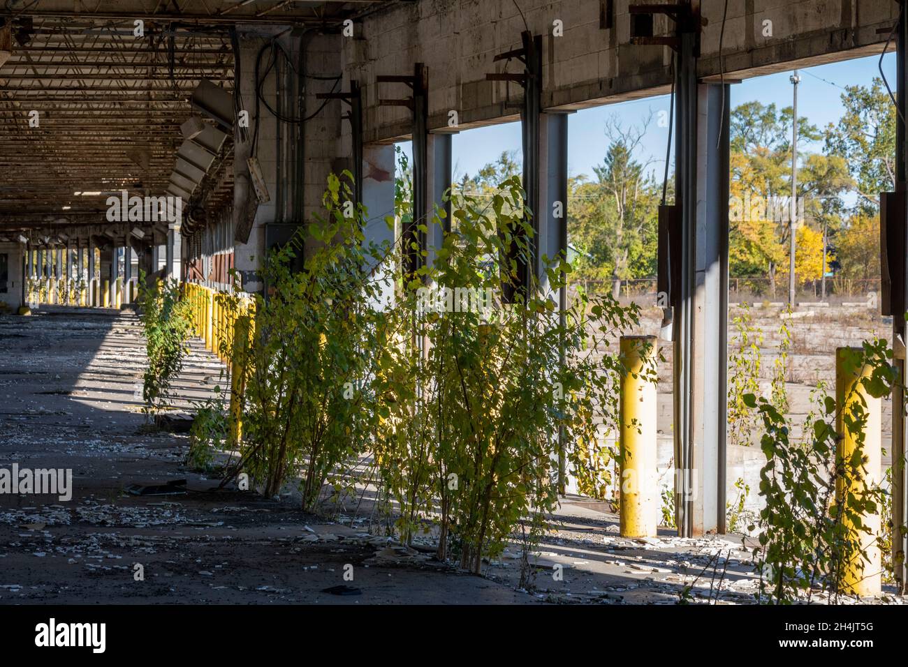 Detroit, Michigan - Unkraut wächst in Laderampen an einem verlassenen LKW-Terminal, das zuvor von Universal Truckload Services betrieben wurde. Stockfoto
