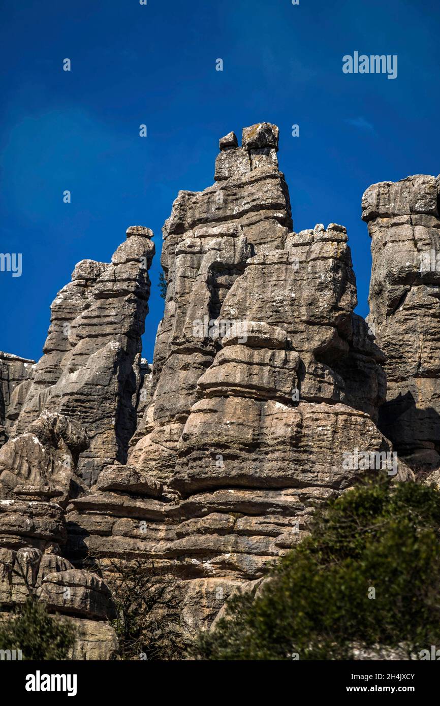 Spanien, Andalusien, Malaga, Stadt Antequera, Torcal de Antequera, Ein Kalksteinmassiv, das zu einem Naturschutzgebiet zum Schutz einer endemischen Steinbock-Art, des Iberischen Steinbocks oder der Capra pyrenaica hispanica, geworden ist Stockfoto