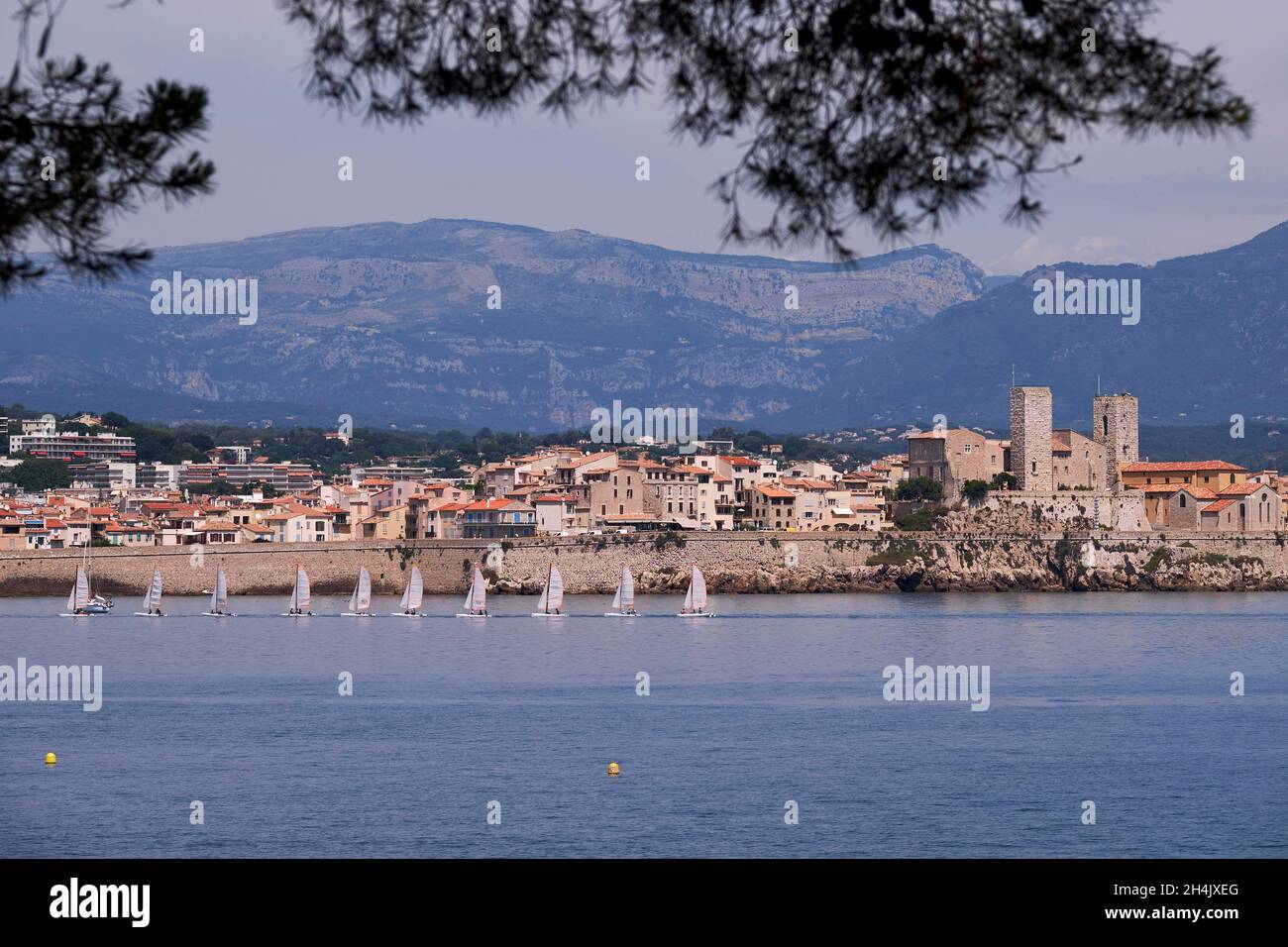 Frankreich, Alpes Maritimes, Segelschule vor den Wallanlagen von Vauban, die die beiden Sarazentürme des Picasso-Museums und der ND-Kathedrale der Unbefleckten Empfängnis zeigen Stockfoto