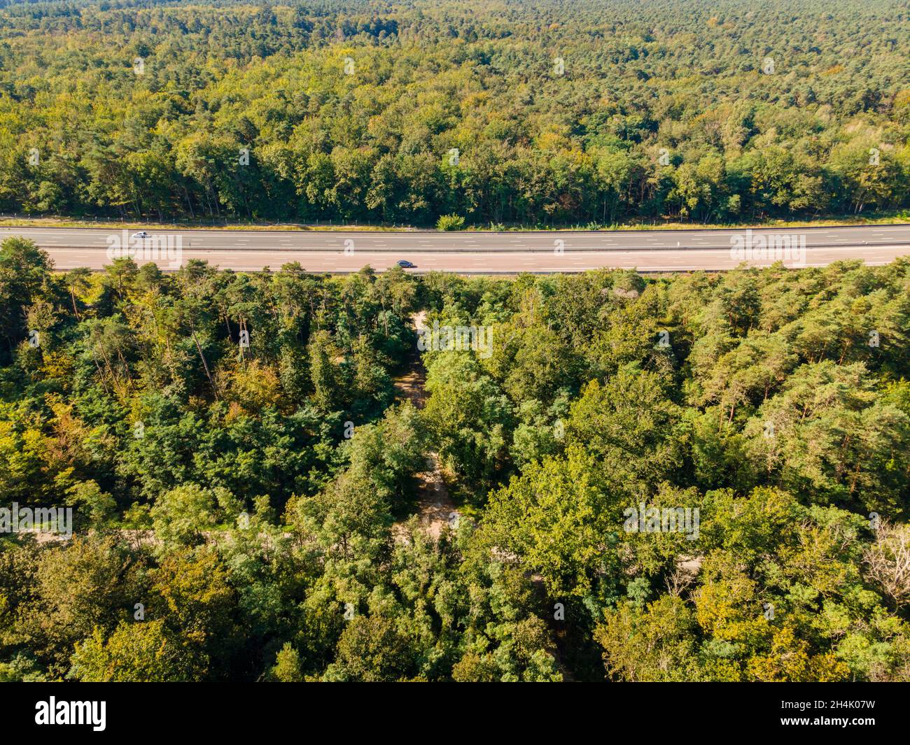 Frankreich, seine et Marne, Grez sur Loing, Fontainebleau-Wald, UNESCO-Welterbe Fontainebleau und Gatinais, Autobahn Autoroute du Soleil (A6 E15) (Luftaufnahme) Stockfoto
