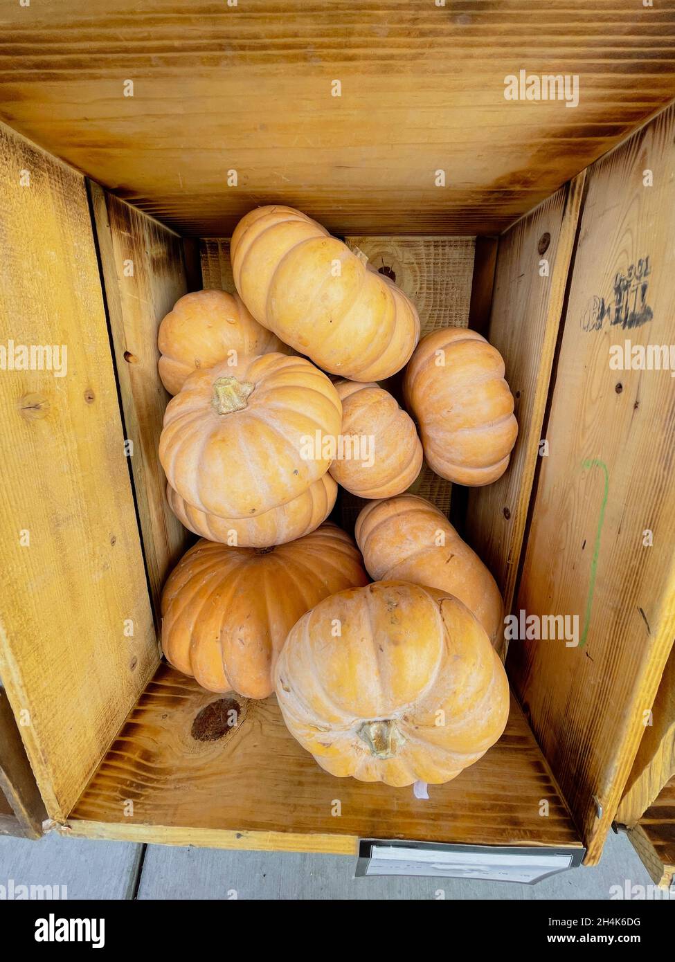 Orangefarbene Kürbisse in Holzkiste, von oben nach unten geschossen Stockfoto