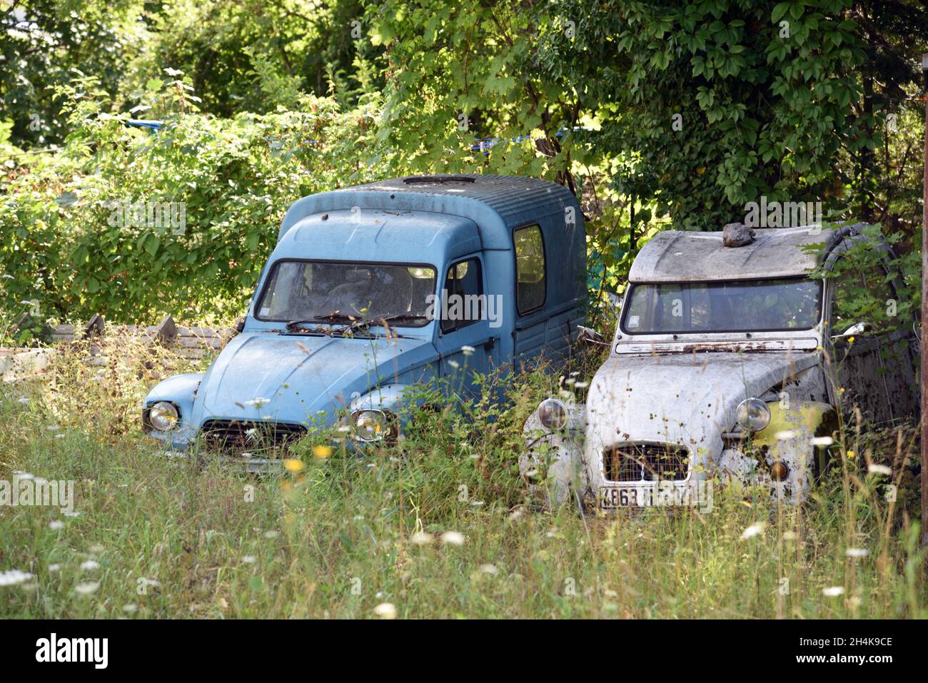 Paar von Old Vintage oder Abandoned Citroën 2CV oder deux chevaux, Autos oder Automobile, die im Back Yard aufgegeben wurden Stockfoto