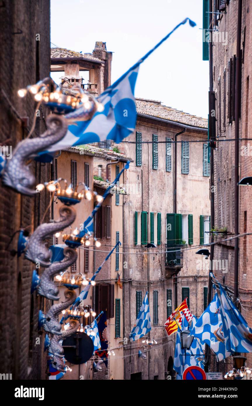 Flaggen und Delfine des Siegerwettbewerbs „Contrade“ des Pferderennens Palio im mittelalterlichen Siena, Italien. Stockfoto
