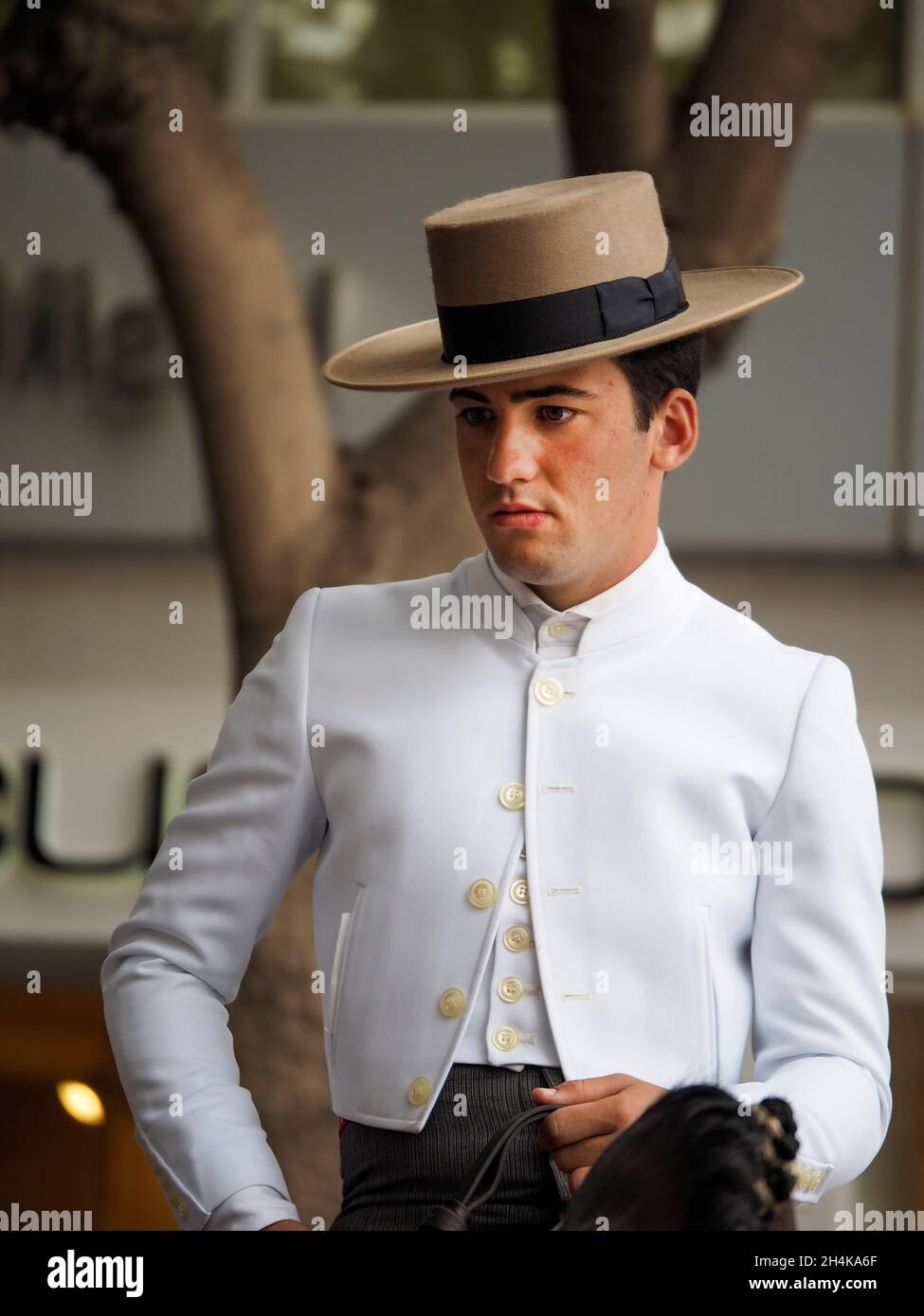 Mann auf dem Pferderücken in typisch andalusischem Kostüm Stockfoto Mann auf dem Pferderücken in typisch andalusischem Kostüm Stockfoto