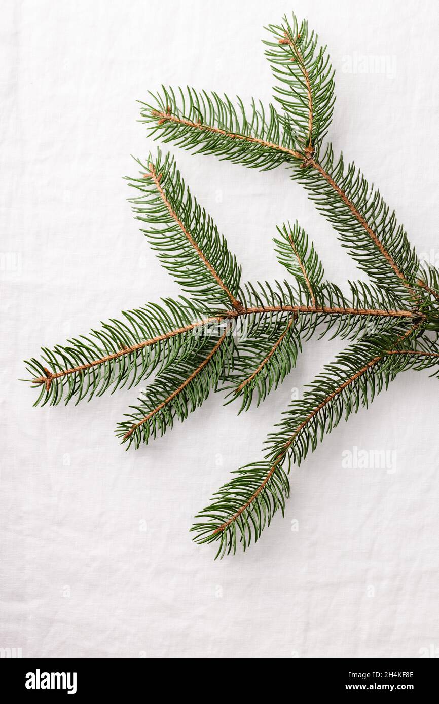 Tannenzweig auf weißer Leinentischdecke. Stockfoto