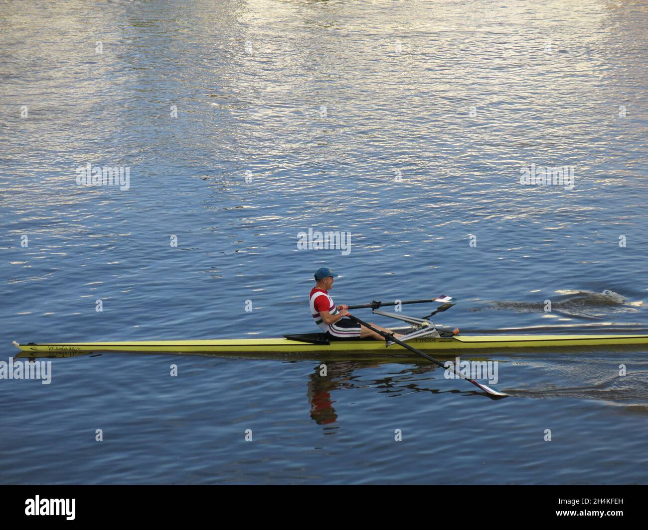 Sonntag auf der Themse: Ein Mann rudert auf dem Fluss in einem langen, schlanken gelben Rennwagen. Stockfoto