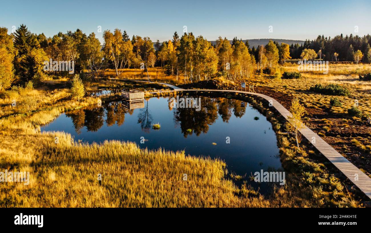 Torfmoor in der Nähe des Dorfes Pernink in Krusne hory, Erzgebirge, Tschechische Republik.Naturschutzgebiet.Bunte Luftlandschaft.Draufsicht Drohne geschossen Stockfoto