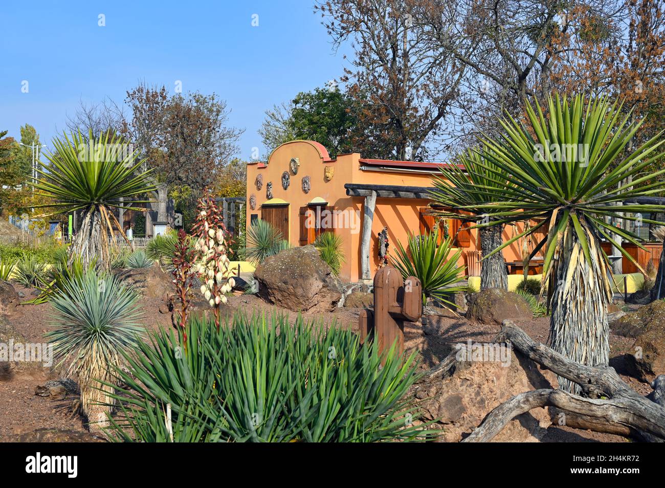 Garten mit Pflanzen und ein kleines mexikanisches Haus Stockfoto
